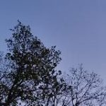 воздух вечности