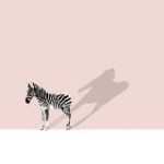 AB дак_aydan ТОЛЬКО РУЛОНАМИ. На отрез смотрите в чате НАЛИ