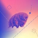 ТАСС / Наука