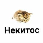 Некитос (mediynayablad)