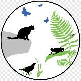 Природа | Животные | Фауна