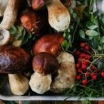 Грибы + Ягоды | Чат | Оптом | Дикоросы