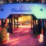 Blaubeerwald-Institut