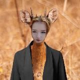 шура мегалодон