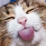 Добрый юмор, мемы, приколы