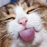 Добрый юмор, мемы, приколы