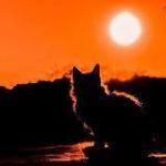 Новый Мировой Бардак