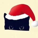 成都外围精品推荐 商k推荐