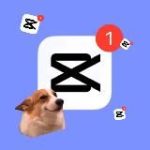 REELS | шаблоны капкат