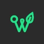 Web3Eco Плантации Павловнии