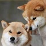 开云体育官网彩金福利客服欧洲杯赞助商