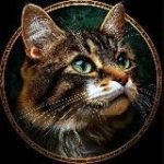 Murbes • Пушистый Юмор