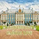 Пушкинский район Live