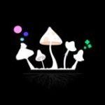 Подкаст Сезон Тихонов