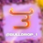 Промокоды на Bulldrop