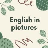 Английский в картинках