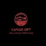 Икра оптом – ДОСТАВКА ПО РФ