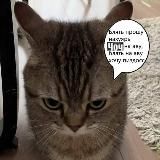 найден погиб