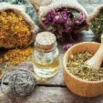 Үләннәрнең, җиләк-җимешләрнең файдасы