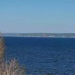 Репортёр Папилкин