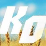 Кут Огляду/Угол Обзора