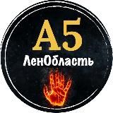 А5 ЛенОбласть
