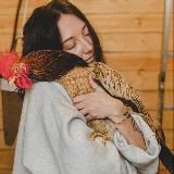 Village life – Современная деревня