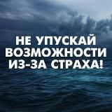 Стратегия Победителя – неуязвимый