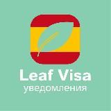 Бот для записи в визовый центр Испании | Уведомления Leaf