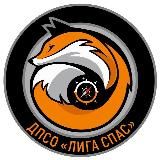 ДПСО «Лига Спас»