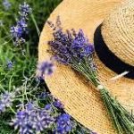 Italian brands outlet