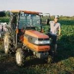 Носки Пехота