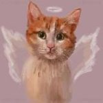 Твикс | Официальный канал