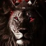 BORSA ASLANI ENDEKSİ