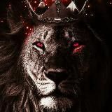 BORSA ASLANI ENDEKSİ