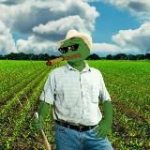 Крипто фермер