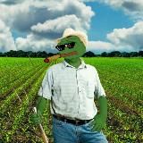 Крипто фермер