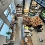 Аквариумная студия Маши Блюм