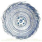 EVOLUCIÓN. YO SOY DH’LY. APOYO A QUE RECONOZCAS TU CONSCIENCIA. NAVE ZALLIFE. ANDROMEDANA