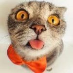 КузЬкинА МатЬ