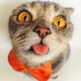 КузЬкинА МатЬ