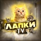 Лапки TV Животные