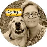 DogAngel