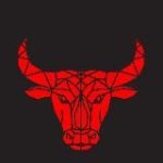 Бычий рынок