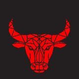 Бычий рынок