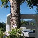 Heidi Spirit * Ganzheitliche Psychologie