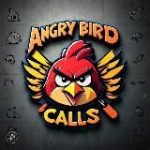 𝐀𝐍𝐆𝐑𝐘 𝐁𝐈𝐑𝐃𝐒 𝐂𝐀𝐋𝐋𝒔™