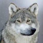 Вакансии – UGC, креаторы, рилсмейкеры