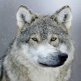 Вакансии – UGC, креаторы, рилсмейкеры