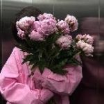 Твой Аутфит | WB